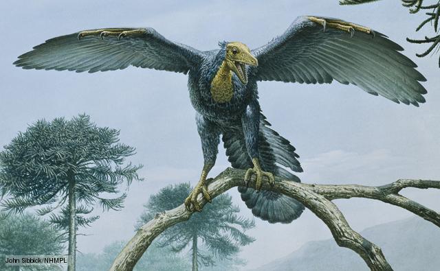 Cool Archaeopteryx