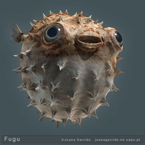 Pretty Fugu