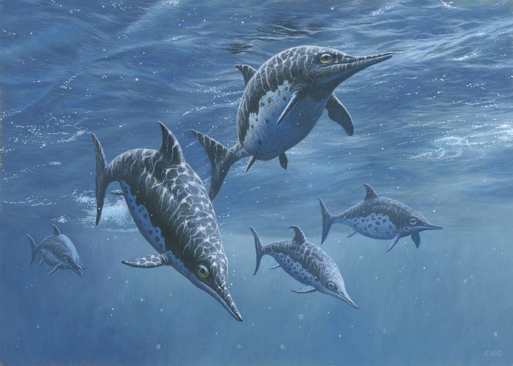 Cute Ichthyosaur
