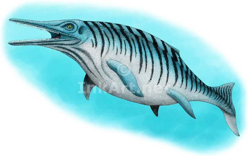 Wallpaper Ichthyosaur