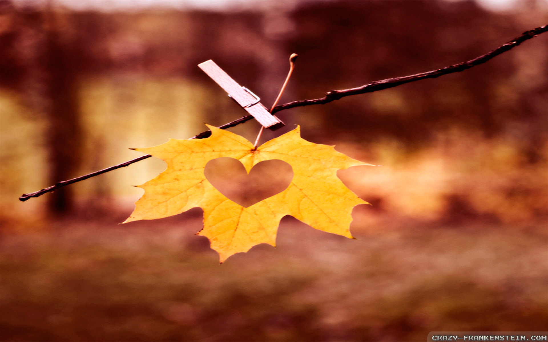 Leaf-love