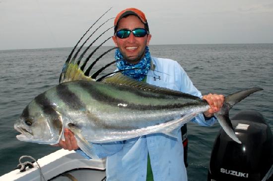 Pretty Roosterfish