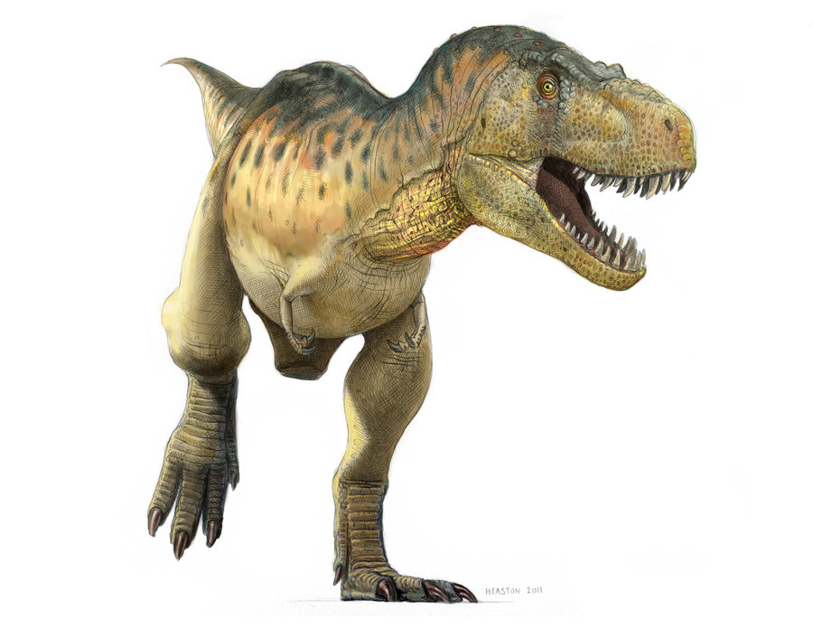 Tyrannosaurus photo 