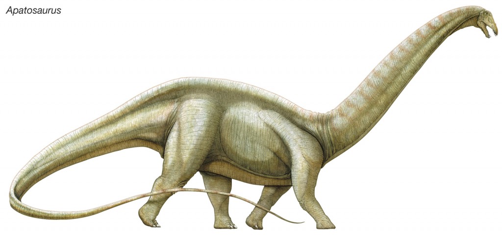 Nice Apatosaurus