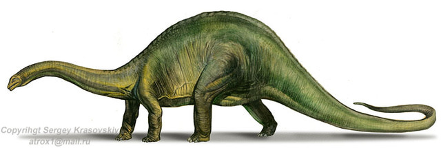 Cool Apatosaurus