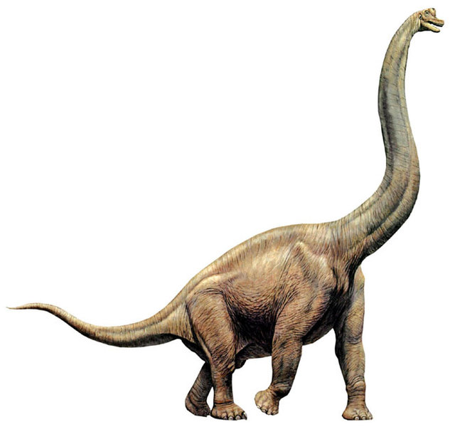 Cool Brachiosaurus