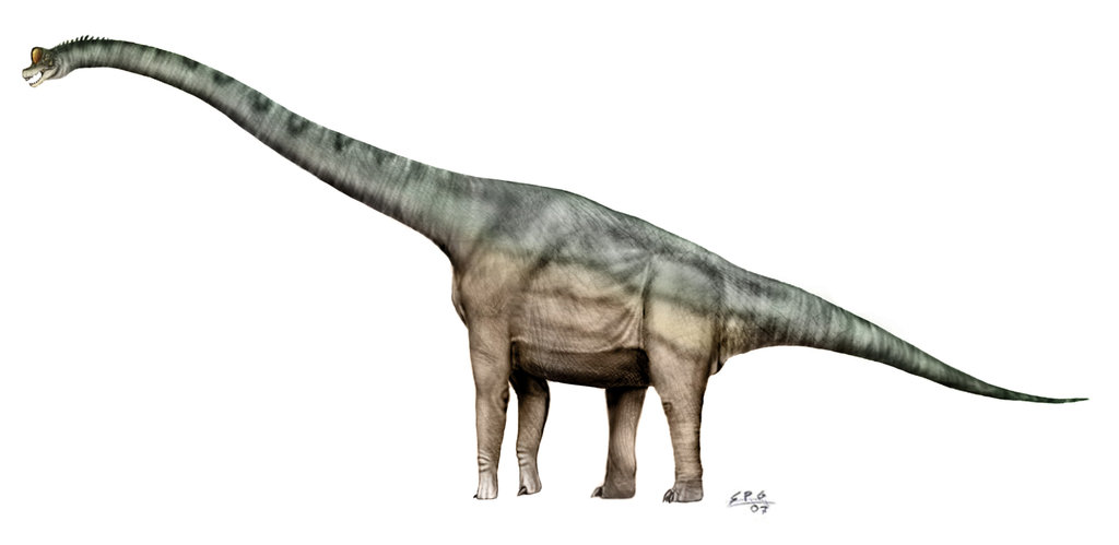 Photo Brachiosaurus
