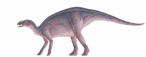 Photo Hadrosaur