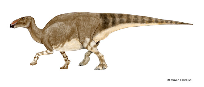 Hadrosaur photo 