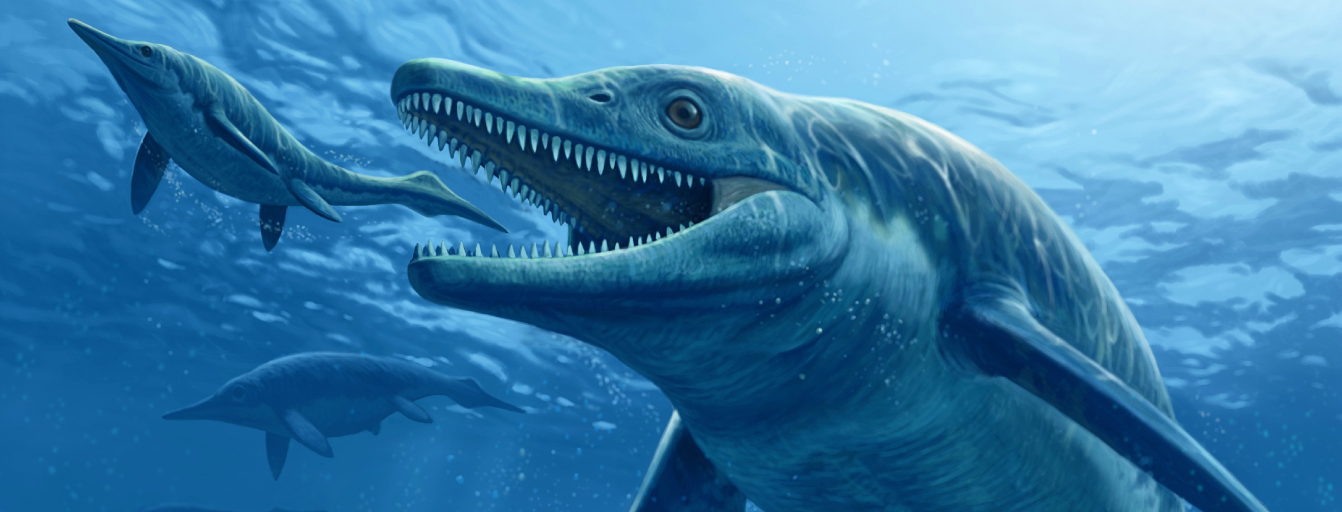 Cool Ichthyosaur