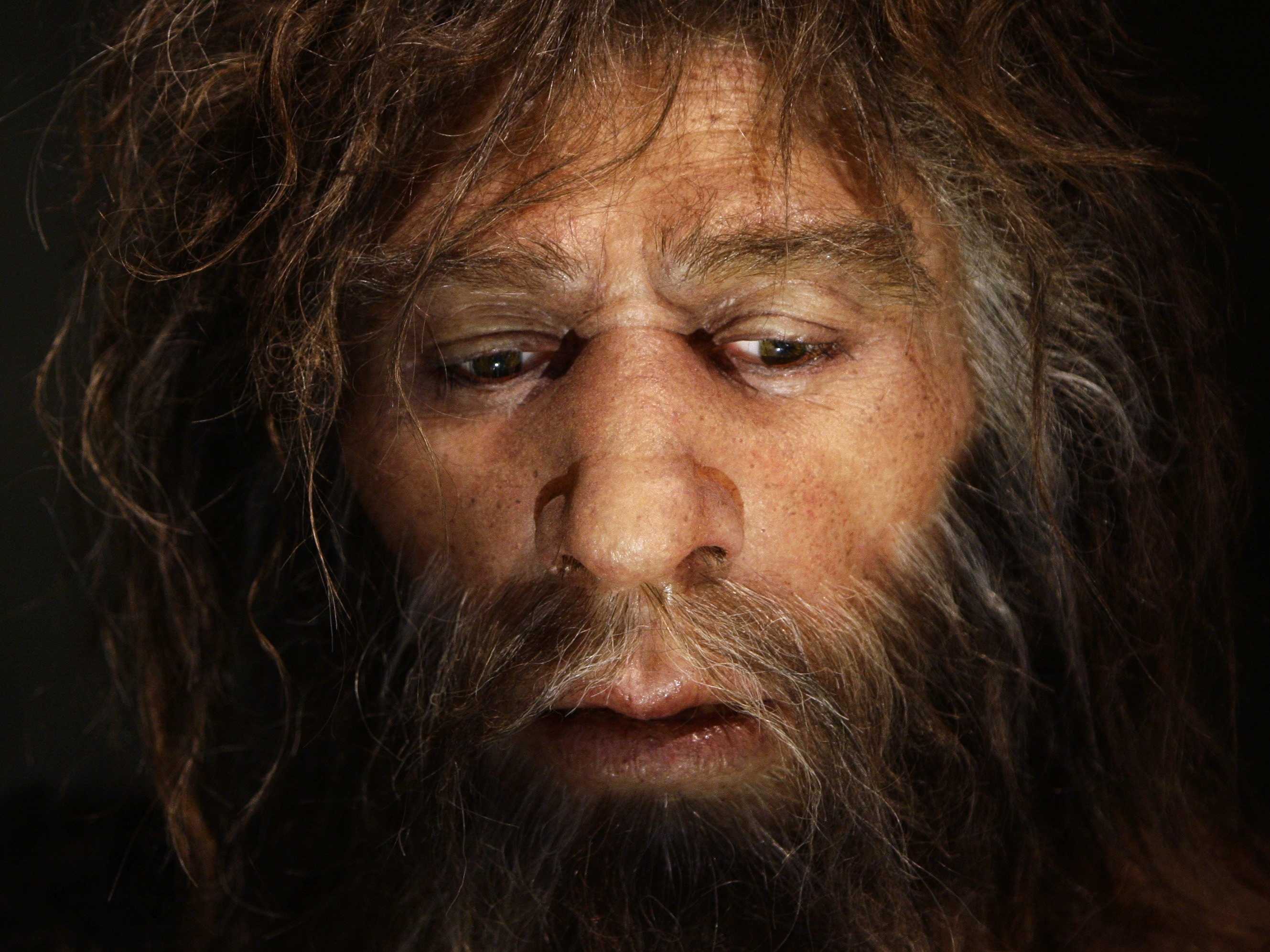 Neanderthal- Photo#04