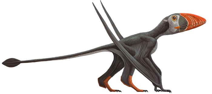 Nice Pterosaur