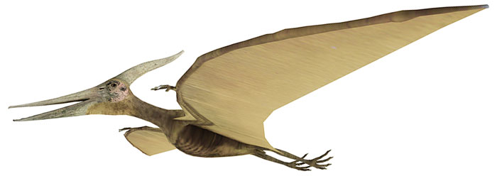 Cute Pterosaur
