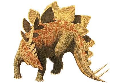 Pretty Stegosaurus