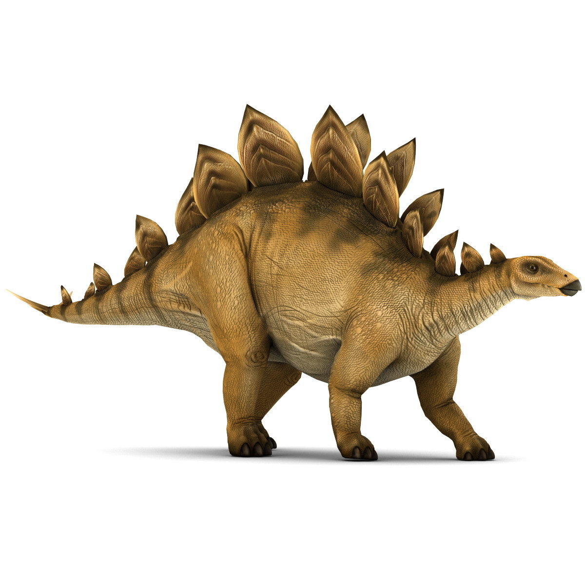 Cute Stegosaurus