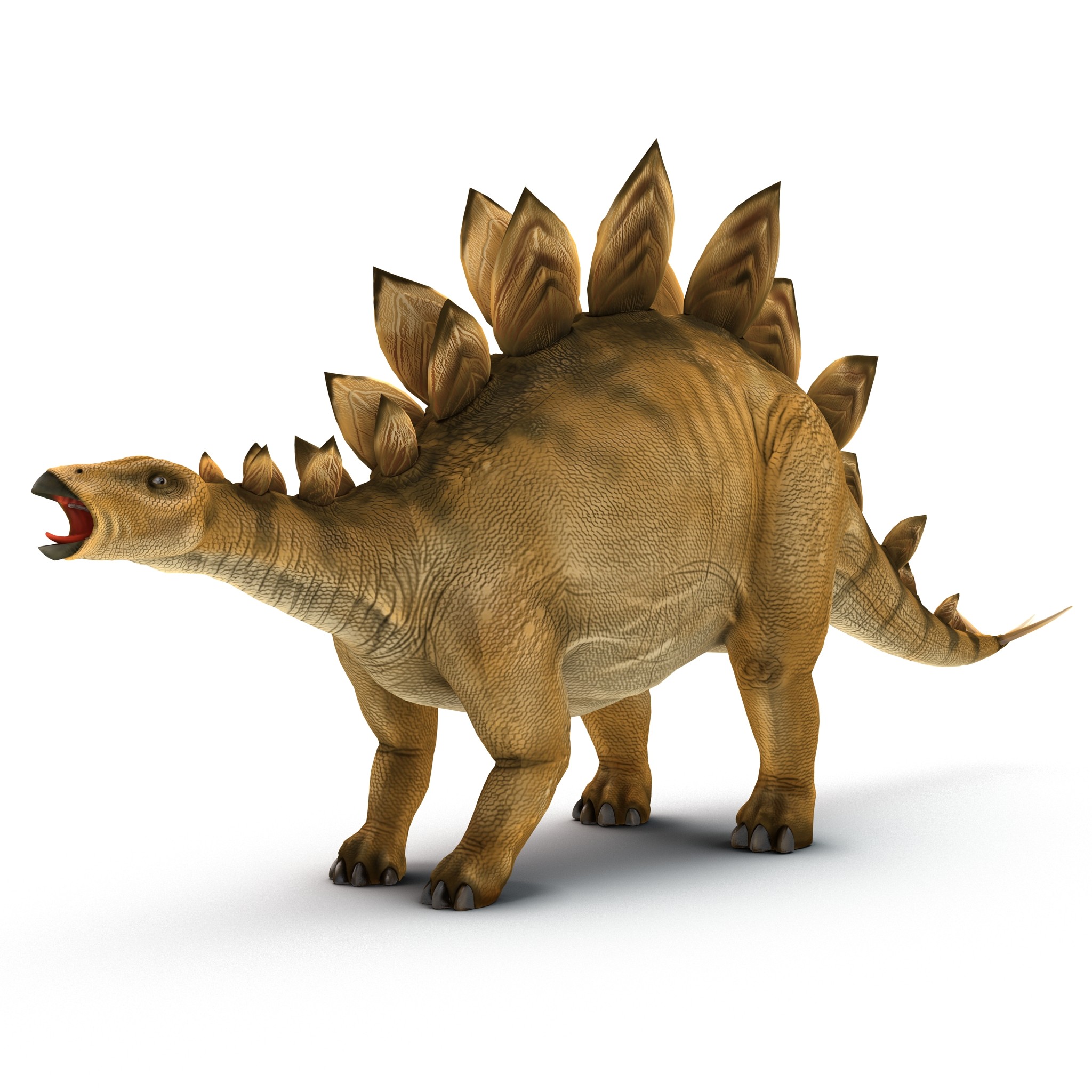 Wallpaper Stegosaurus