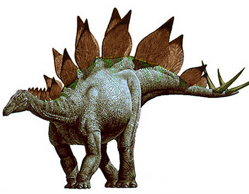 Stegosaurus wallpaper