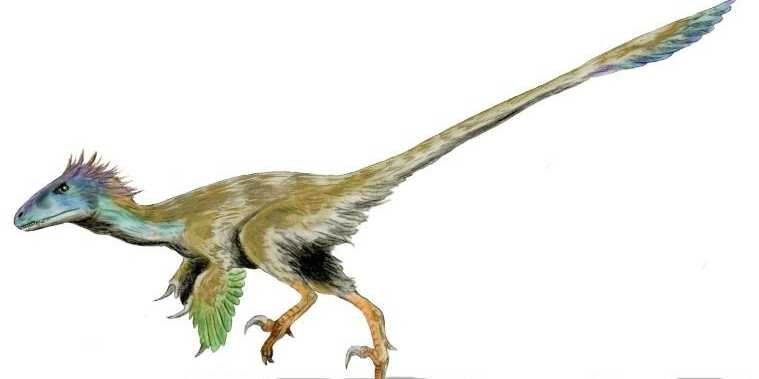 Nice Velociraptor