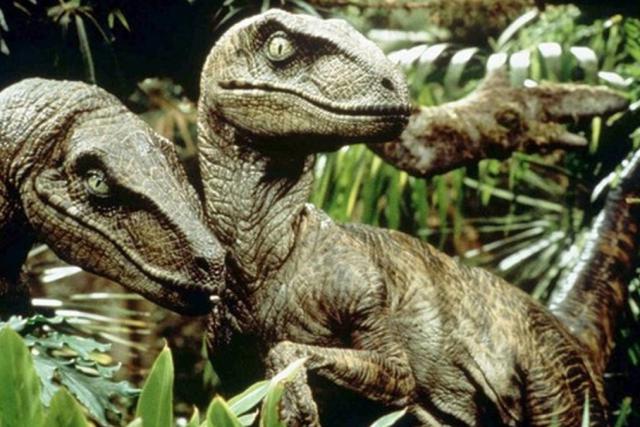 Velociraptor photo 