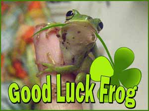 Are frogs a good luck animal?