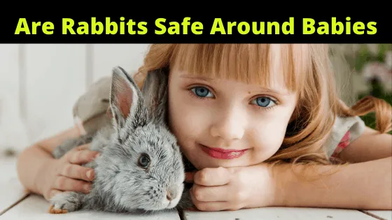 Are pet rabbits safe around newborns?