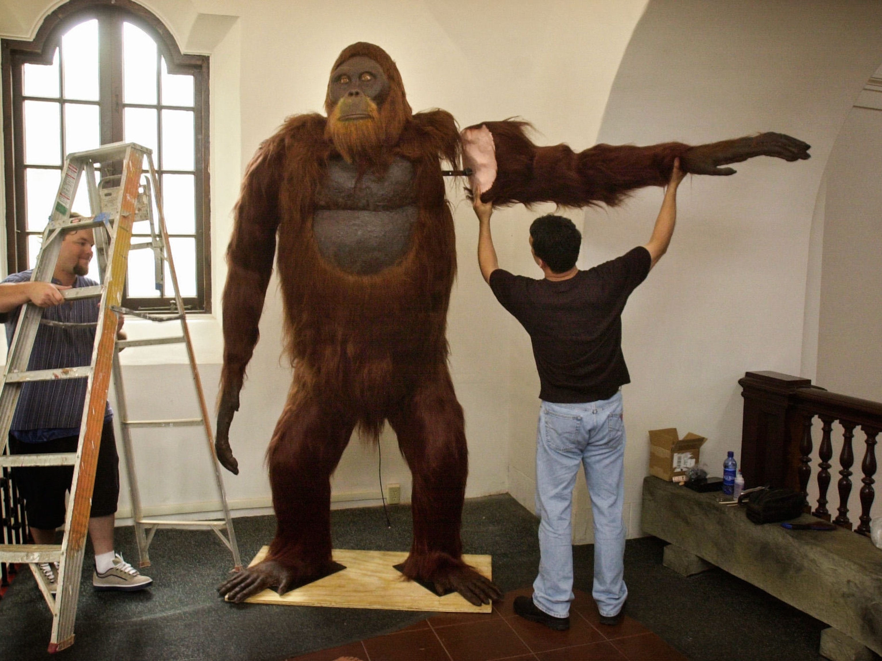Did Gigantopithecus live with humans?