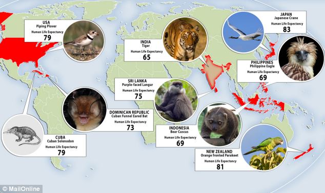 Do humans live longer than other mammals on Earth? Do humans live longer than other mammals on Earth?
