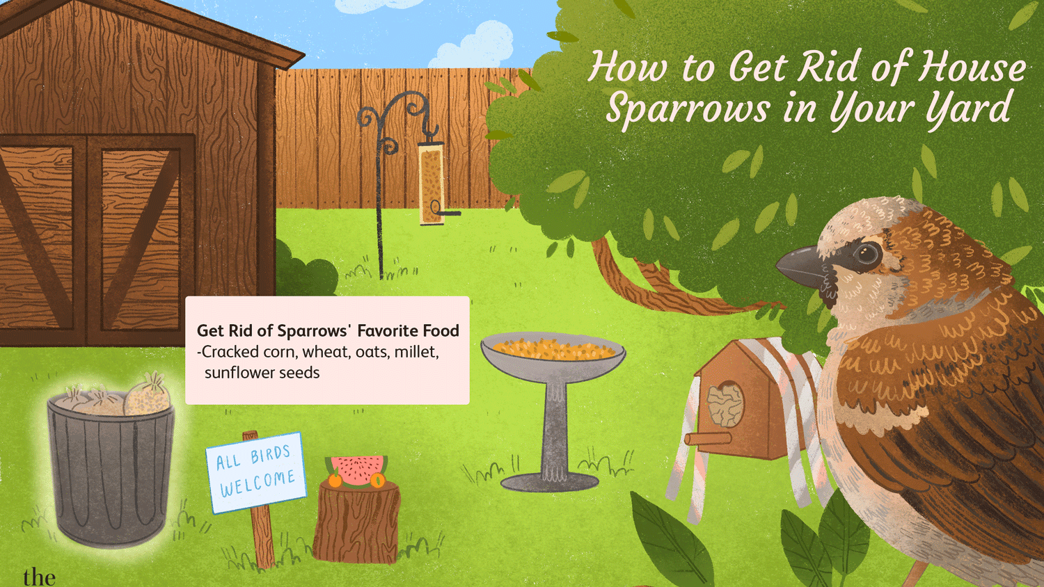 How do house sparrows get in Your House?