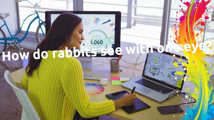 How do rabbits see with one eye? How do rabbits see with one eye?