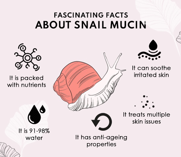 How do snails get into your skin?