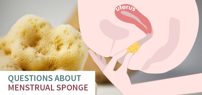 How long can you leave a sea sponge tampon in?