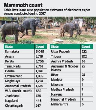 How many elephants are in India?