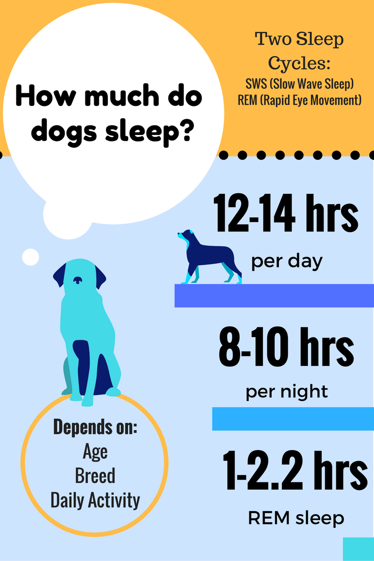 How many hours a day should a dog sleep?