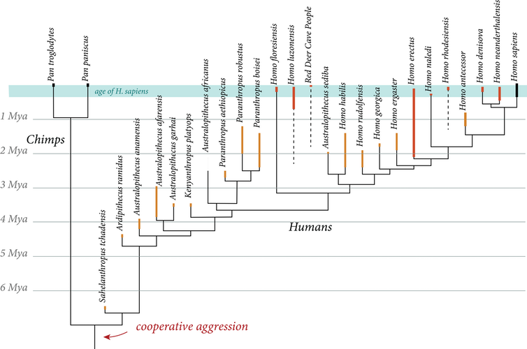 How many species of hominids are there in the world?