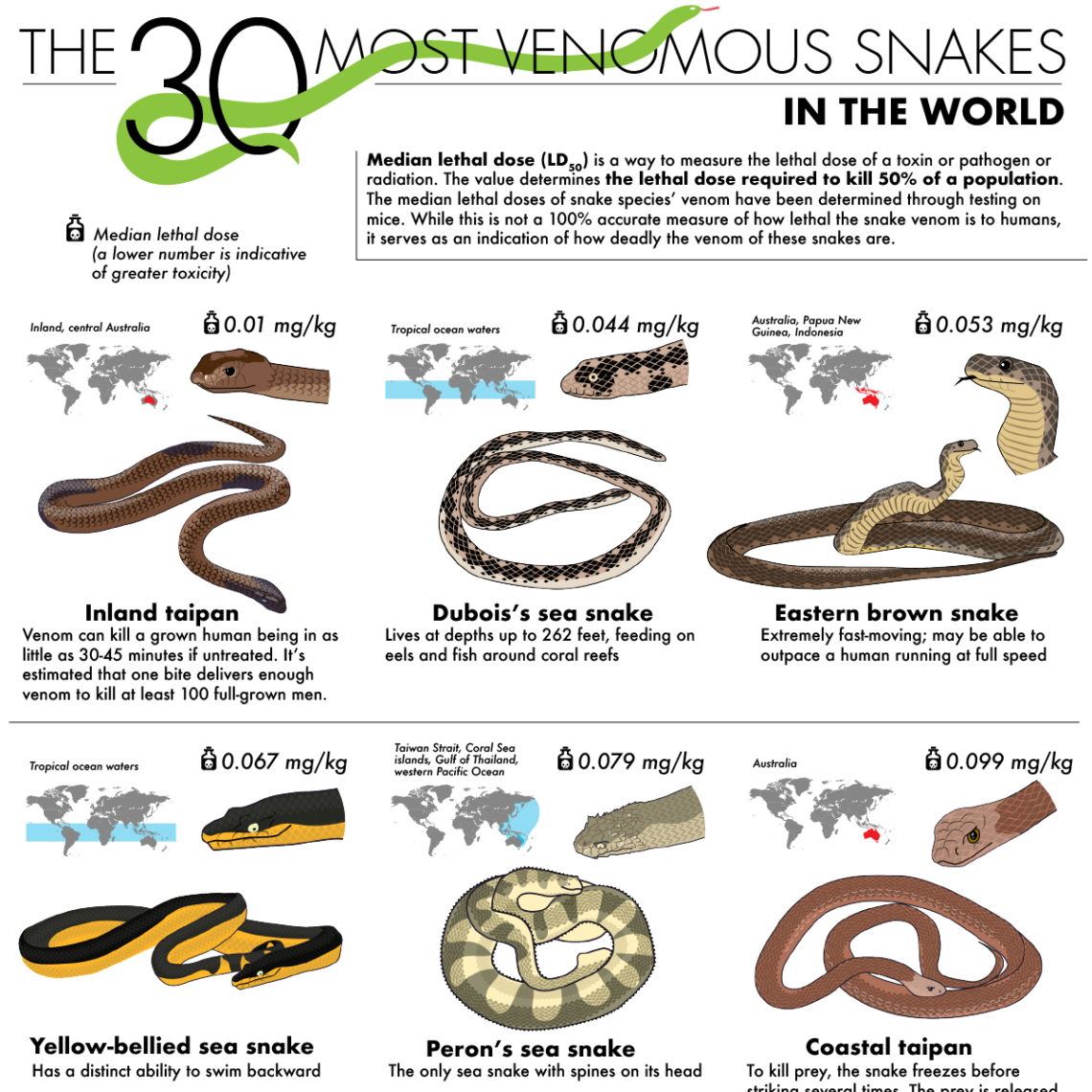 How many venomous snakes are there?