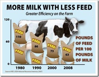 How much milk a cow gives?