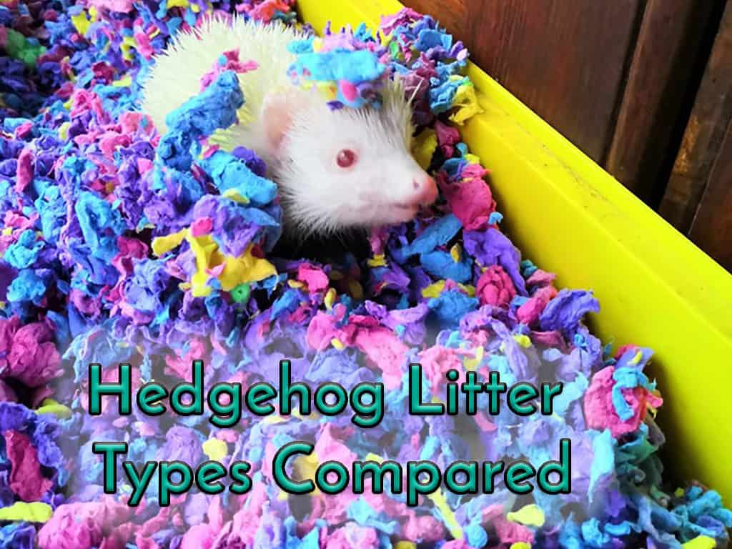 Is Fleece litter bad for hedgehogs?