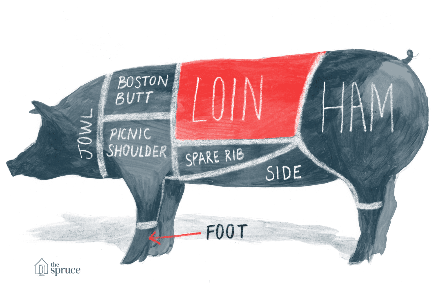 Is pork a swine?