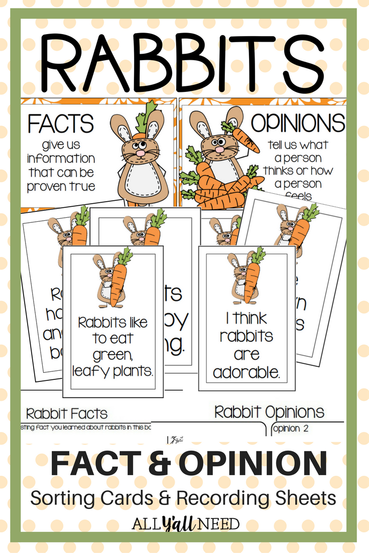 What are some opinions about rabbits? What are some opinions about rabbits?