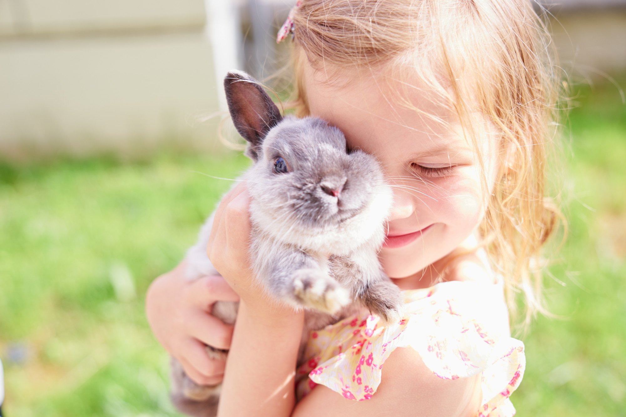 What are the benefits of having a bunny as a pet?