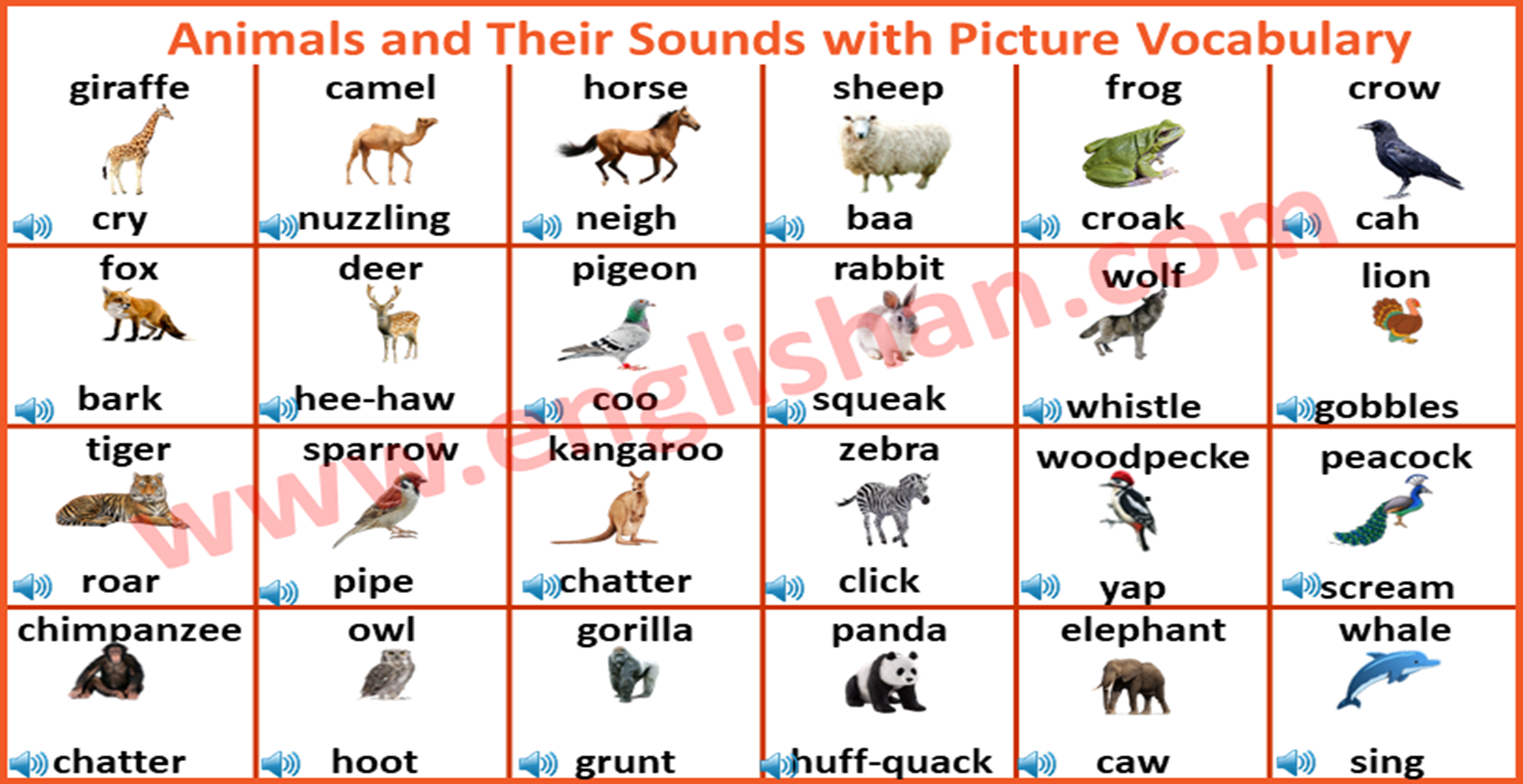 What are the different types of animal sounds?