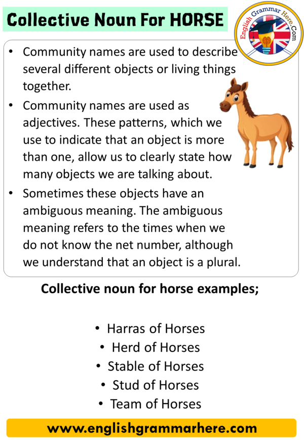 What collective nouns can be used for a group of horses?