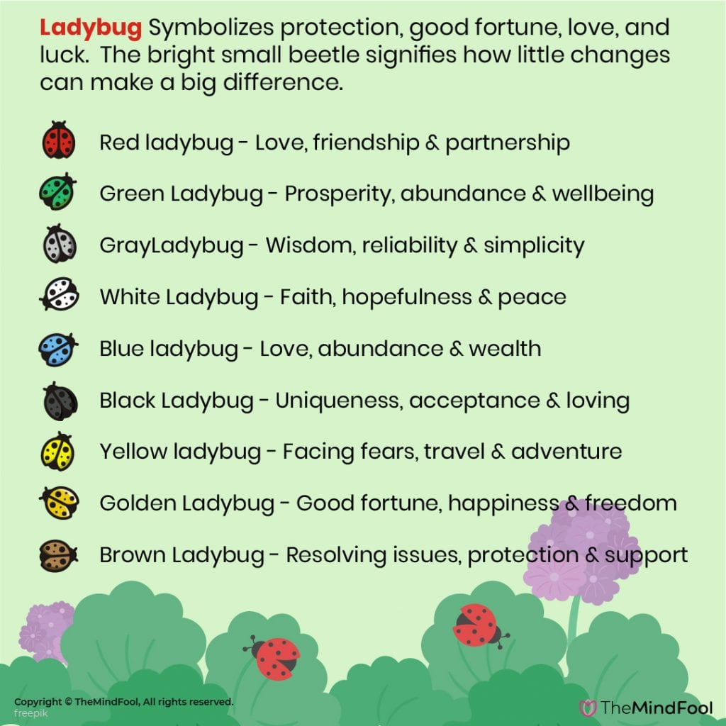 What do ladybug colors mean?
