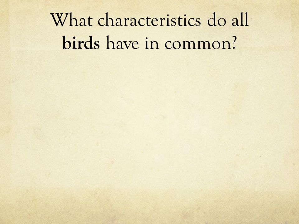 What do most birds have in common? What do most birds have in common?