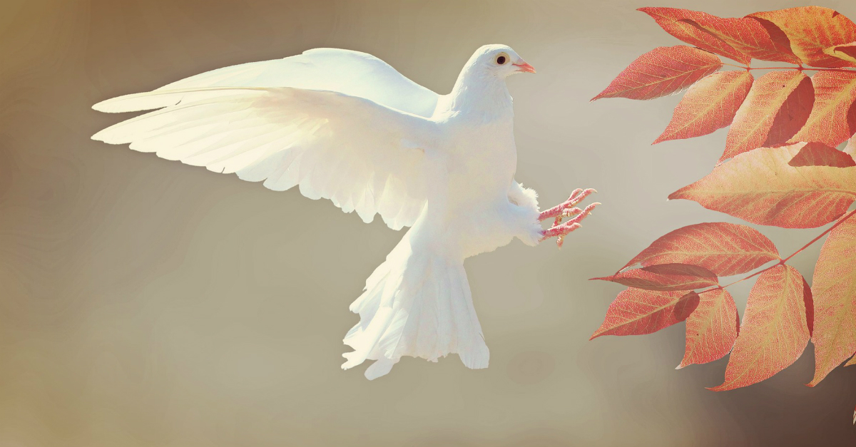 What does a dove symbolize in Christianity?
