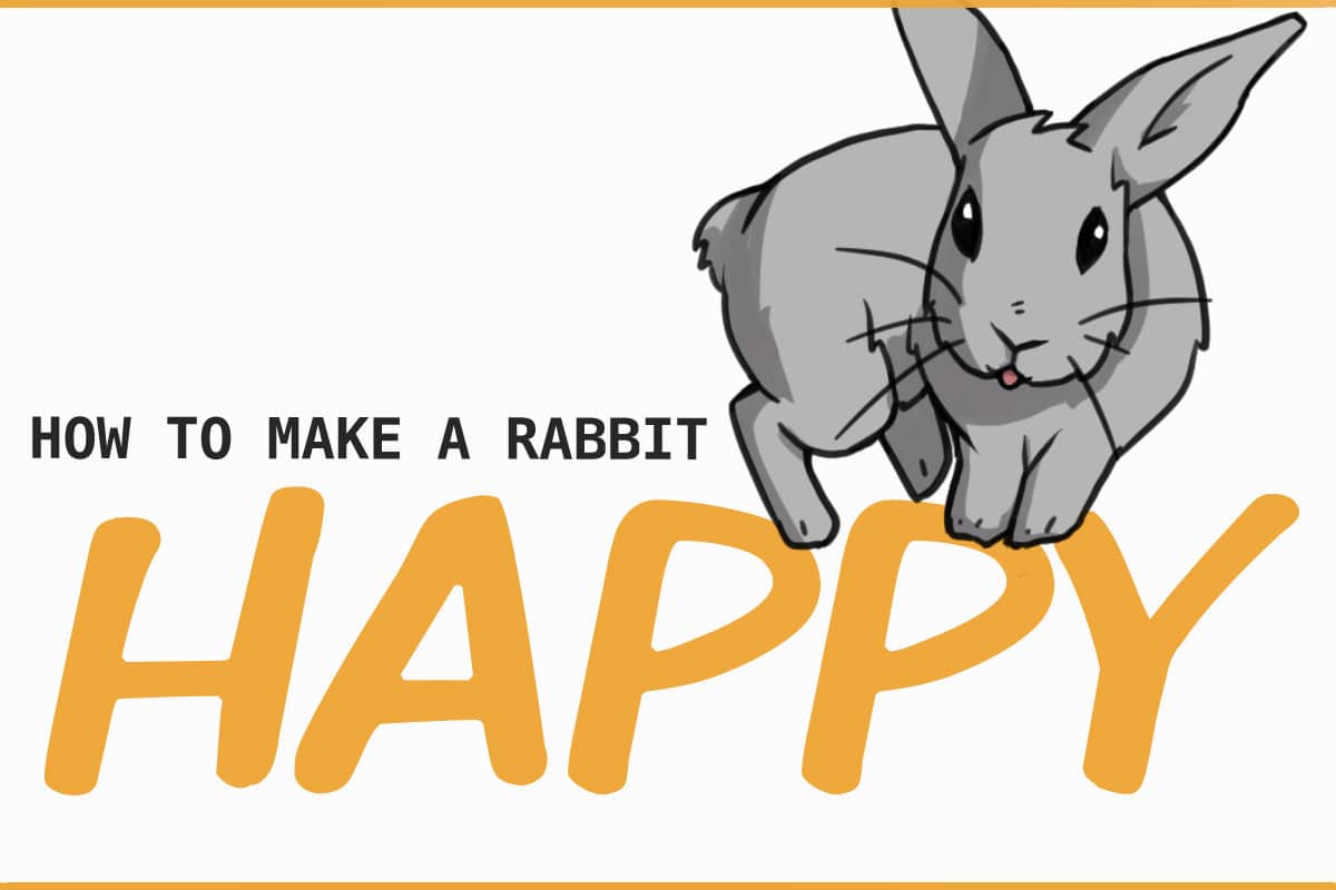 What food makes rabbits happy? What food makes rabbits happy?