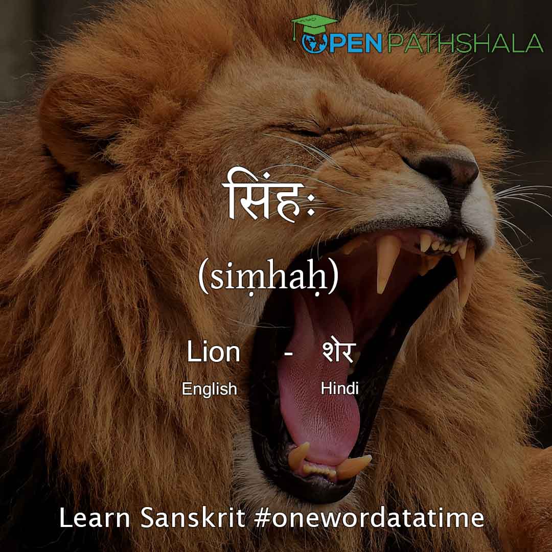 What is Lion called in Sanskrit?