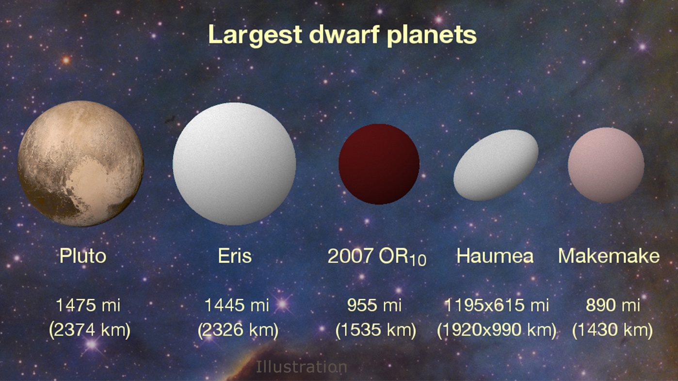 What is the biggest dwarf?