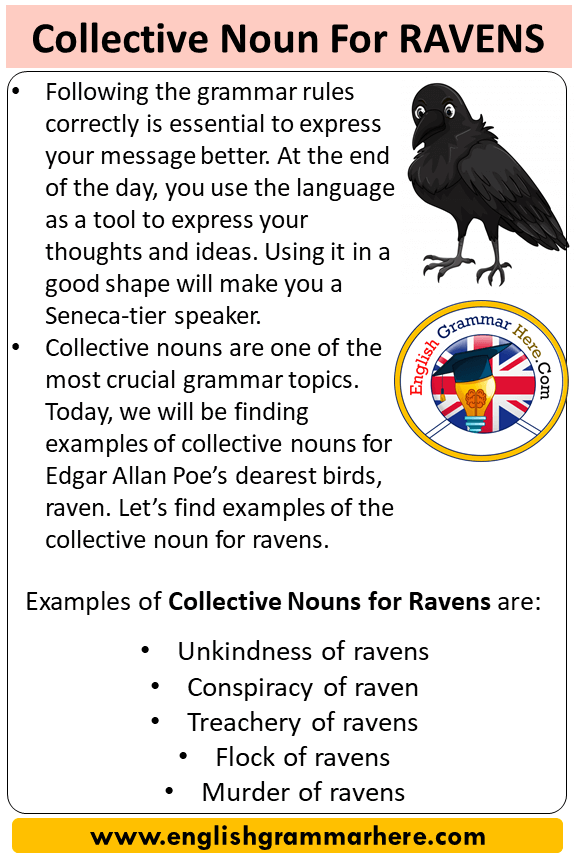 What is the collective noun for Ravens?