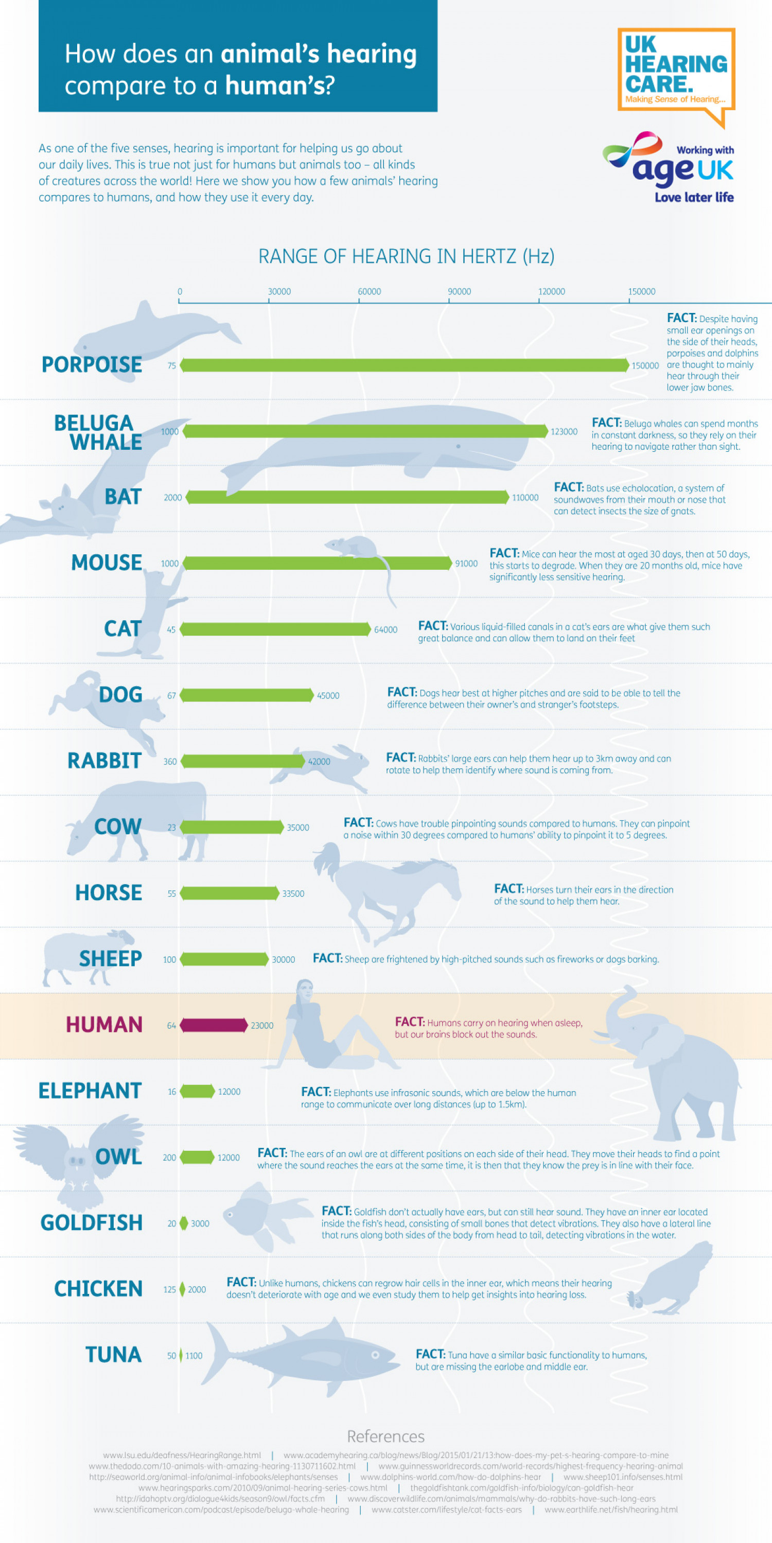 What is the difference between human and animal hearing ranges?